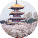 J9国际·(中国)集团